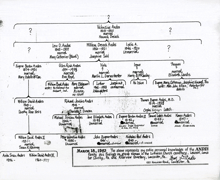 Family Tree drawn by William Andes